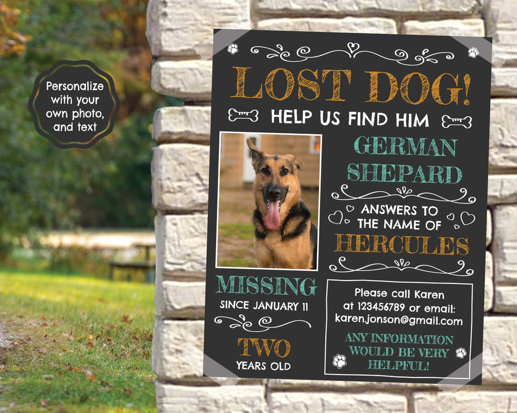 Missing Dog Flyer | Lost Dog Sign | Lost Dog Poster